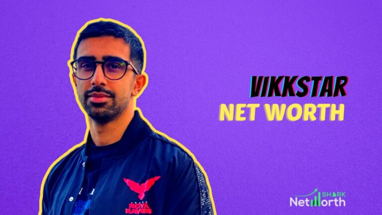 Vikkstar Net Worth: Income, Career, and Bio